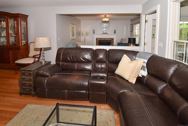 63 Hudson Ln Unit 63, Windsor, CT 06095 - living room with wood finished floors and a fireplace