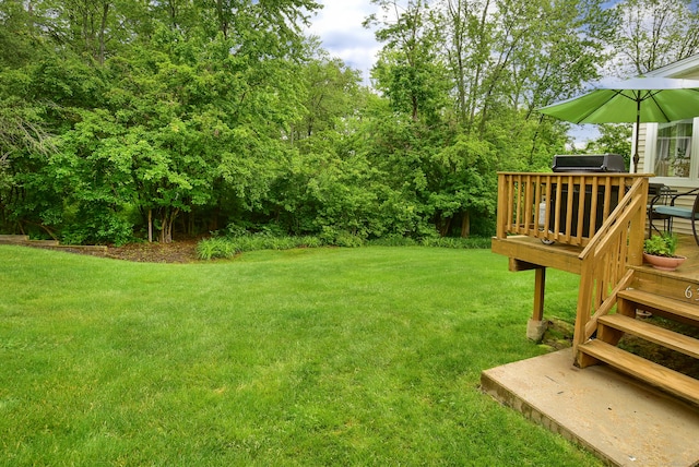 63 Hudson Ln Unit 63, Windsor, CT 06095 - view of green lawn with a deck