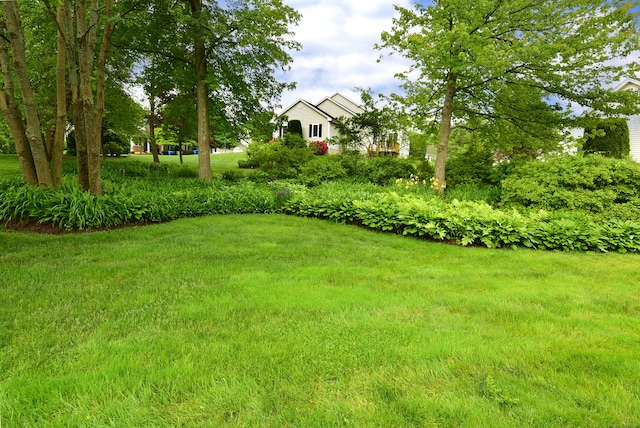 63 Hudson Ln Unit 63, Windsor, CT 06095 - view of green lawn