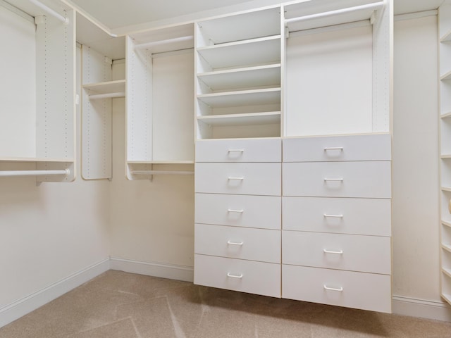 9 Autumn Leaves Rd, Wallingford, CT 06492 - walk in closet with light colored carpet
