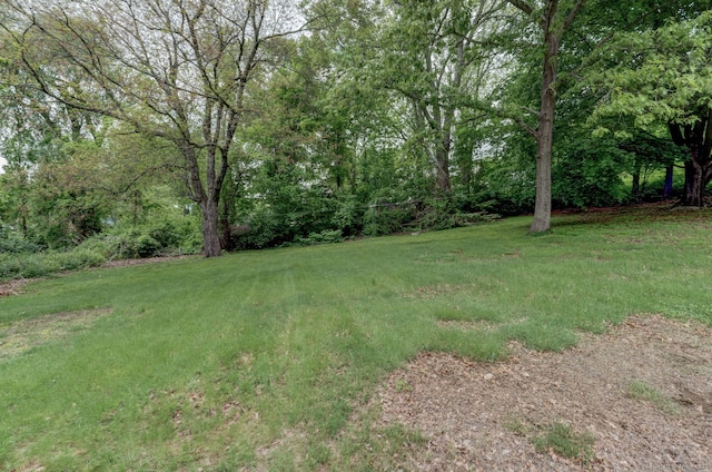 9 Jennings St, Griswold, CT 06351 - view of grassy yard with a view of trees
