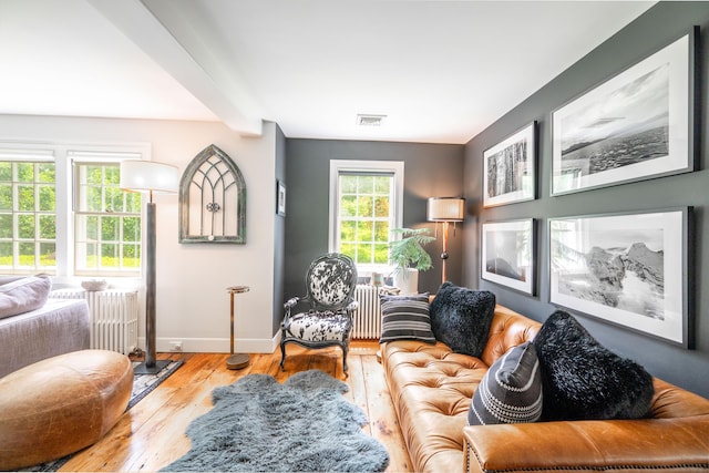 23 Goodsell Hill Rd, Redding, CT 06896 - living room with hardwood / wood-style floors and radiator