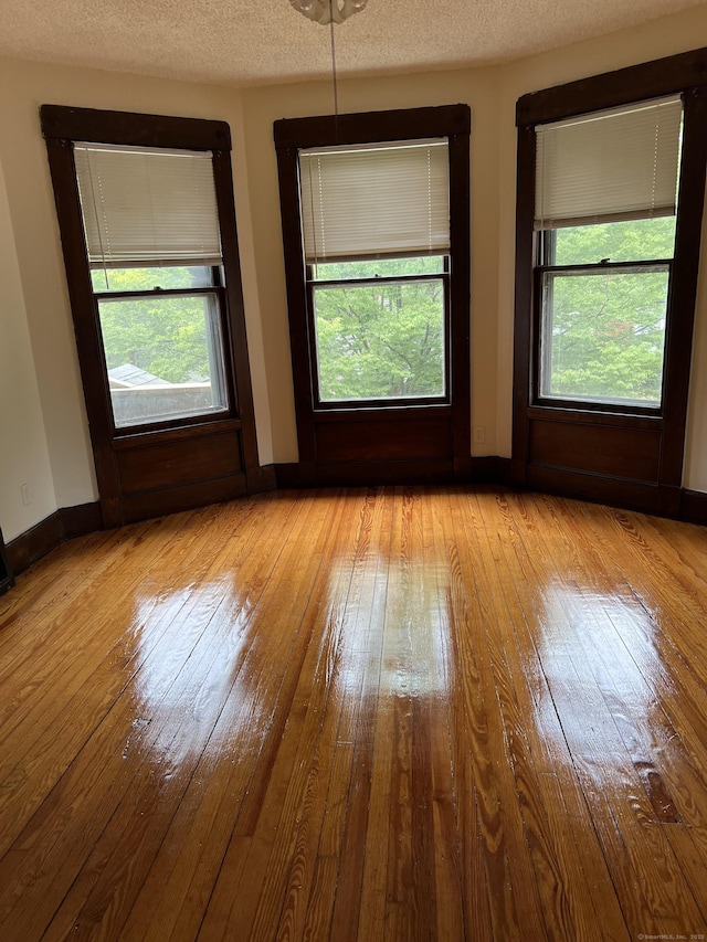 868 Elm St, New Haven, CT 06511 - empty room featuring wood-type flooring, healthy amount of natural light, baseboards, and a textured ceiling