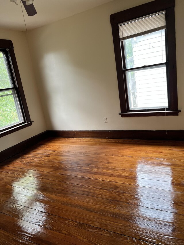 868 Elm St, New Haven, CT 06511 - empty room with healthy amount of natural light, ceiling fan, wood-type flooring, and baseboards