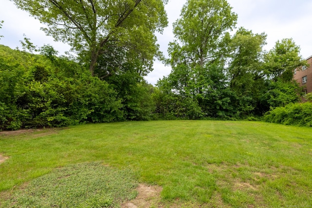 510 S St S, Bristol, CT 06010 - view of grassy yard