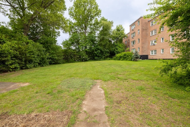 510 S St S, Bristol, CT 06010 - view of green lawn