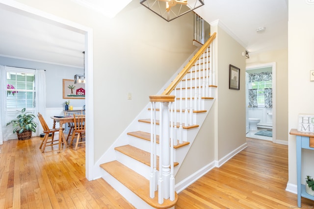 16 Darley Dr, Hamden, CT 06518 - stairway with hardwood / wood-style floors, ornamental molding, a chandelier, and baseboards