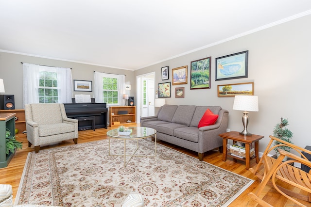 16 Darley Dr, Hamden, CT 06518 - living area featuring crown molding and light wood finished floors