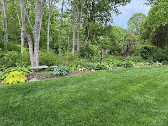 16 Jeremy River Dr, Colchester, CT 06415 - view of grassy yard