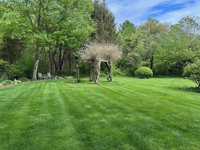 16 Jeremy River Dr, Colchester, CT 06415 - view of green lawn