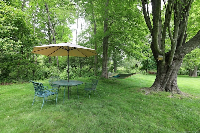 33 Preston Rd, Trumbull, CT 06611 - view of green lawn