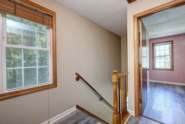 37 White Tail Ln Unit 37, Wallingford, CT 06492 - stairs with wood finished floors, a textured ceiling, and baseboards