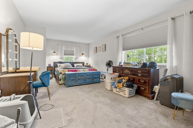 167 Santa Maria Dr, Torrington, CT 06790 - view of carpeted bedroom
