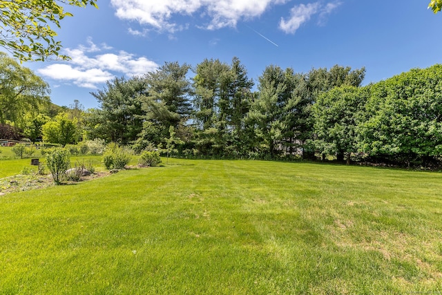 16 Botsford Rd, Kent, CT 06757 - view of green lawn