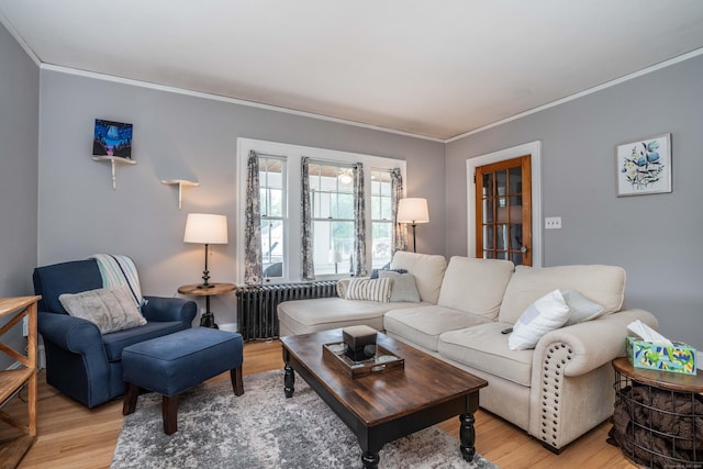 5 Seymour Ave, West Hartford, CT 06119 - living room with radiator, ornamental molding, and light wood-style flooring