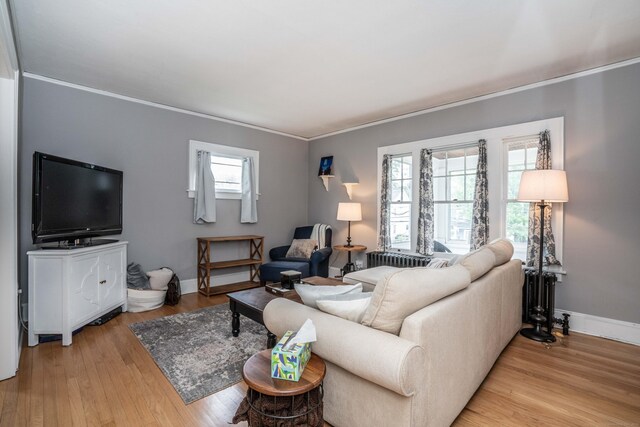 5 Seymour Ave, West Hartford, CT 06119 - living area featuring radiator, crown molding, plenty of natural light, light wood finished floors, and baseboards