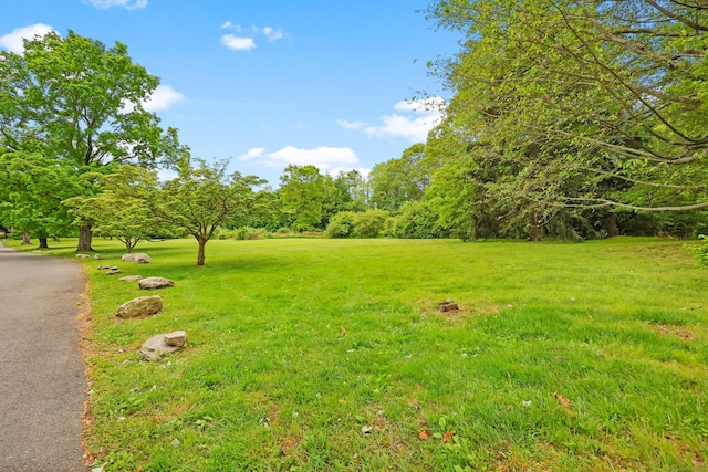 16 Katydid Ln, Weston, CT 06883 - view of grassy yard with driveway
