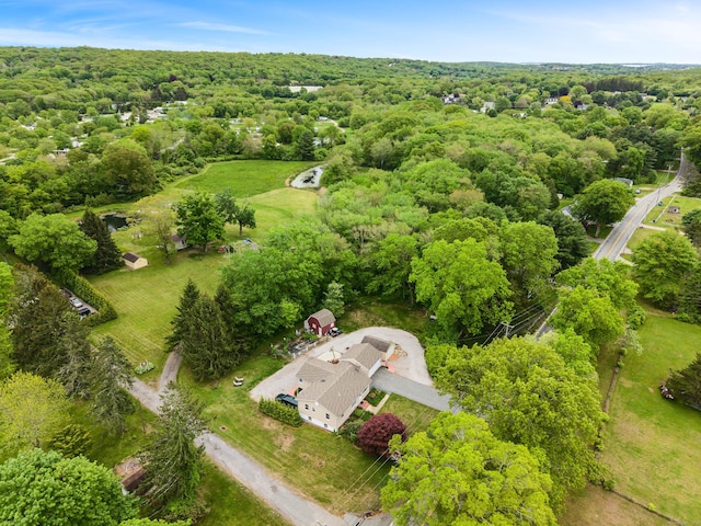 332 Shewville Rd, Ledyard, CT 06339 - aerial view of a forest