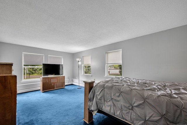 122 Carr Ave, Newington, CT 06111 - bedroom with carpet, multiple windows, a baseboard radiator, and a textured ceiling