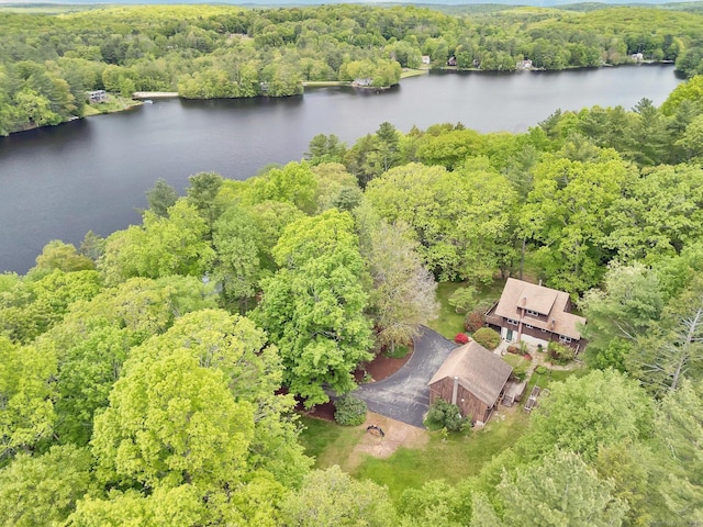 55 Indian Spring Rd, Woodstock, CT 06281 - drone / aerial view of a forest and a large body of water