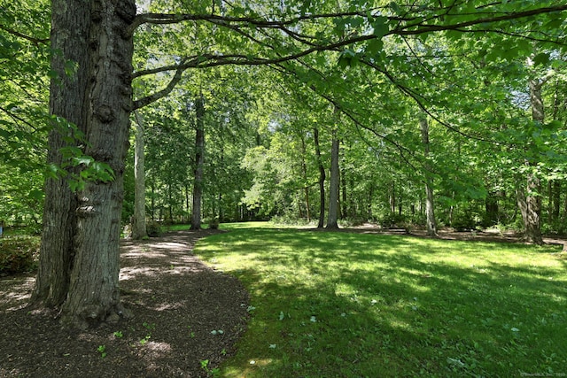 66 Penny Ln, Woodbridge, CT 06525 - view of green lawn featuring a wooded view