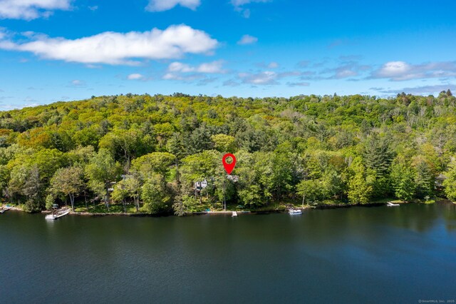 197 W Hyerdale Dr, Goshen, CT 06756 - photo 6