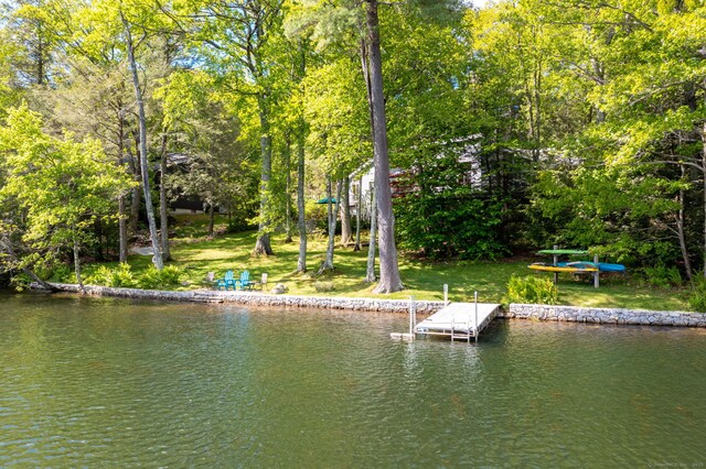 197 W Hyerdale Dr, Goshen, CT 06756 - photo 8