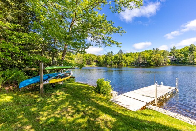 197 W Hyerdale Dr, Goshen, CT 06756 - photo 9