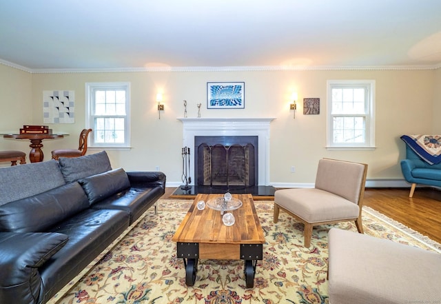 498 Nod Hill Rd, Wilton, CT 06897 - living room featuring ornamental molding, wood finished floors, a fireplace with flush hearth, a baseboard heating unit, and baseboards