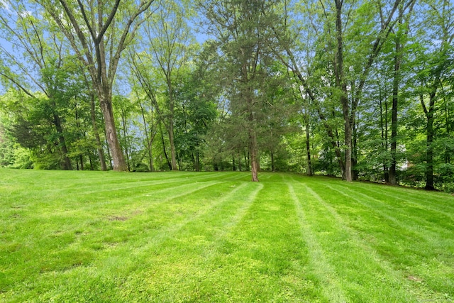 63 Fitch Ln, New Canaan, CT 06840 - view of grassy yard