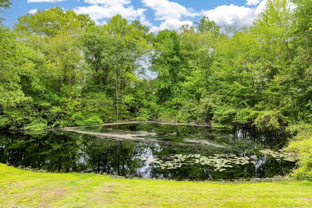 23A Yankee Glen Dr Unit 23A, Madison, CT 06443 - water view with a heavily wooded area