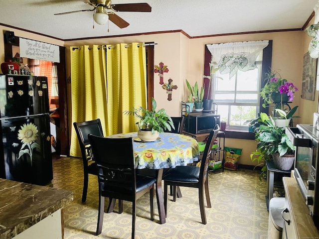 51 Cooper St, Manchester, CT 06040 - dining area with ornamental molding, ceiling fan, and a textured ceiling