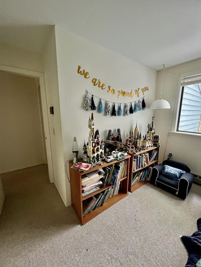 225 Ledge Dr, Torrington, CT 06790 - miscellaneous room with carpet flooring