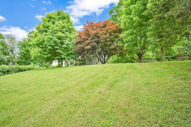 172 S Rd, Marlborough, CT 06447 - view of green lawn
