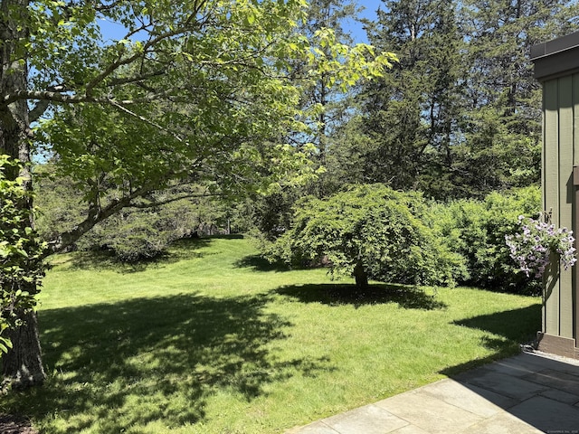 740 Heritage Vlg Unit B, Southbury, CT 06488 - view of grassy yard