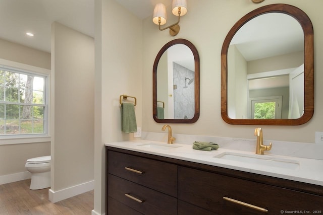 331 Calkinstown Rd, Sharon, CT 06069 - full bathroom featuring double vanity, wood finished floors, toilet, baseboards, and healthy amount of natural light