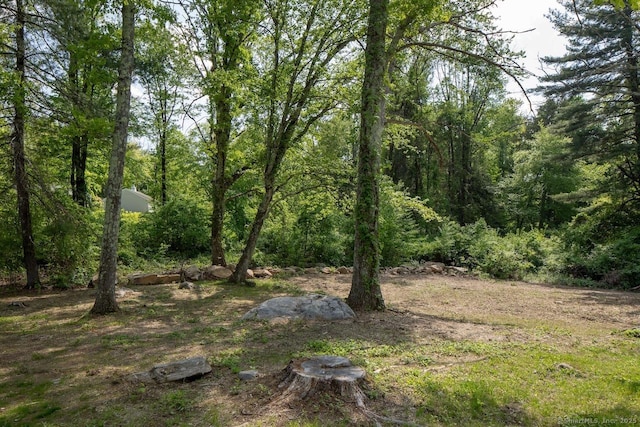 331 Calkinstown Rd, Sharon, CT 06069 - view of yard featuring a forest view