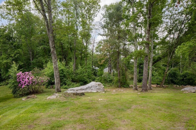 331 Calkinstown Rd, Sharon, CT 06069 - view of green lawn
