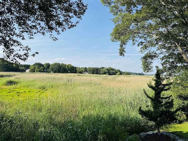 55 Cypress Rd, Old Saybrook, CT 06475 - view of undeveloped land featuring rural landscape