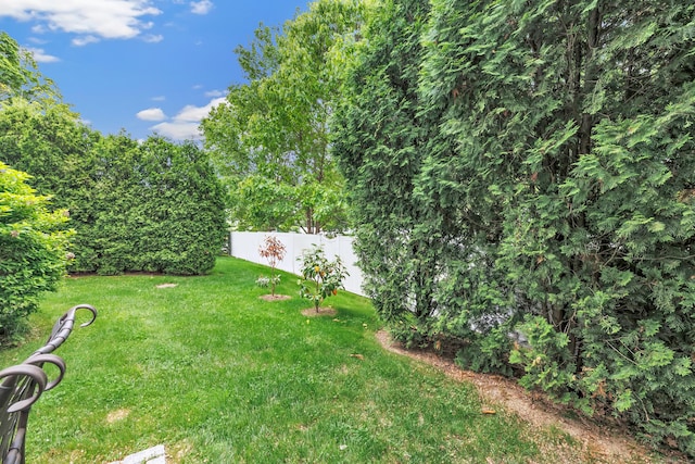 2180 Kings Hwy Unit 1, Fairfield, CT 06824 - view of yard