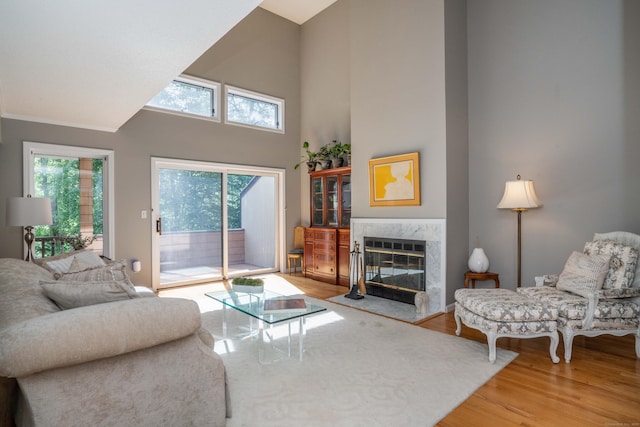 53 Bathcrescent Ln Unit 53, Bloomfield, CT 06002 - living area with wood finished floors, plenty of natural light, a premium fireplace, and a high ceiling
