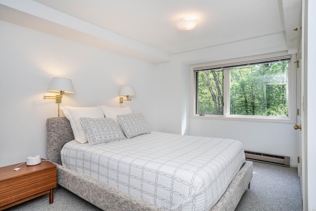 53 Bathcrescent Ln Unit 53, Bloomfield, CT 06002 - carpeted bedroom featuring baseboard heating