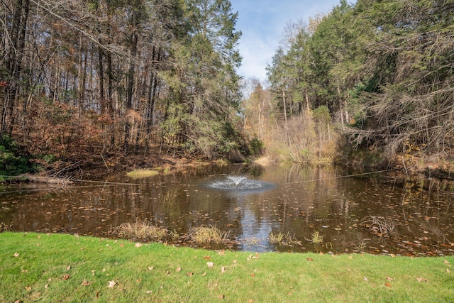 53 Bathcrescent Ln Unit 53, Bloomfield, CT 06002 - water view