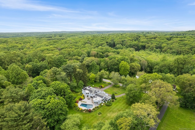 37 Topfield Rd, Wilton, CT 06897 - view of subject property featuring a forest and a pool