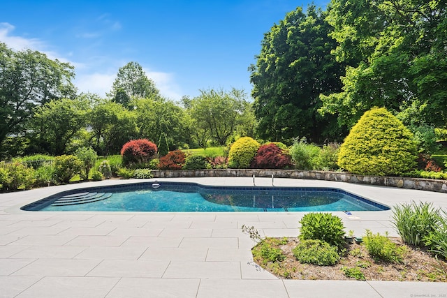 37 Topfield Rd, Wilton, CT 06897 - outdoor pool with view of wooded area and a patio area