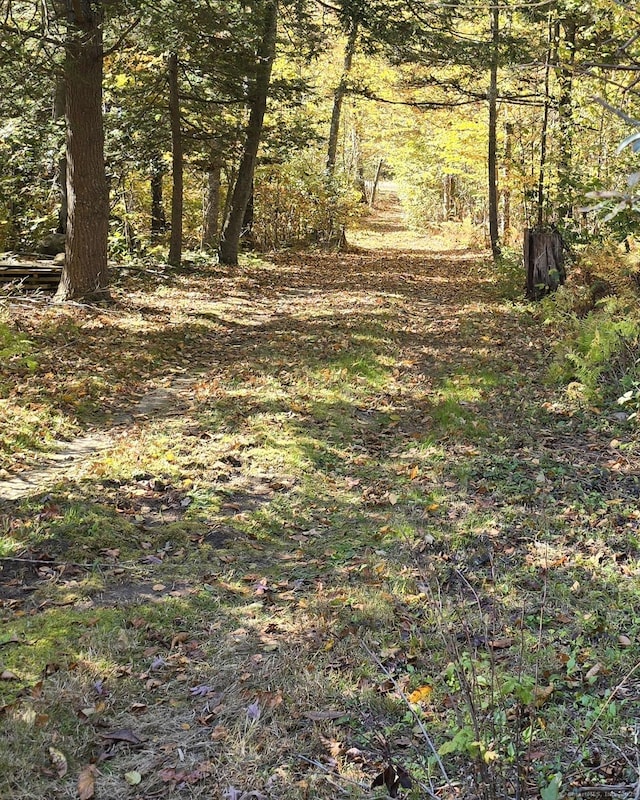 0 Al Harvey Rd, Stonington, CT 06378