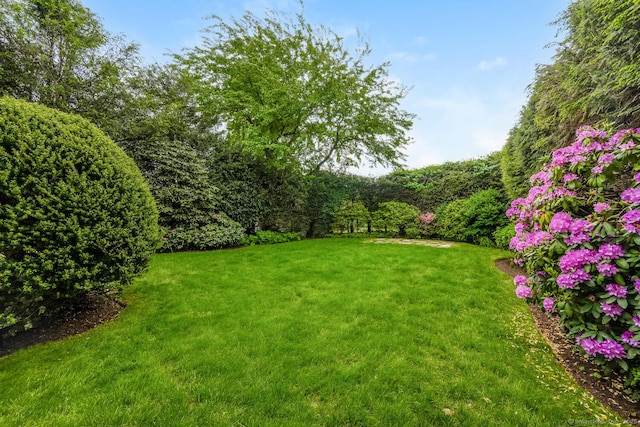 19 Bryan Rd, Norwalk, CT 06853 - view of green lawn