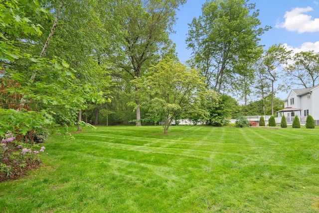 132 Royal Oak Dr, Southington, CT 06489 - view of green lawn