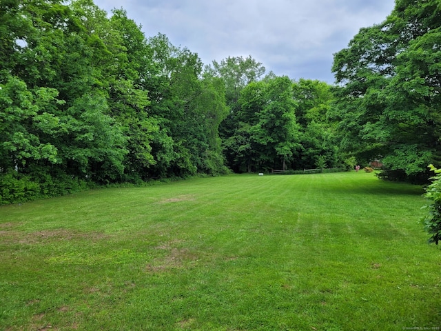 13 Little River Ln, Middletown, CT 06457 - view of green lawn with a view of trees