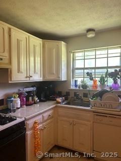 kitchen featuring white dishwasher, black range with gas stovetop, plenty of natural light, and extractor fan
